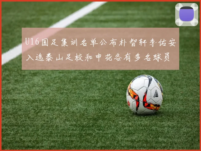 U16国足集训名单公布朴智轩李佑安入选泰山足校和申花各有多名球员参与