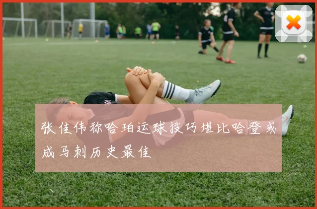 张佳伟称哈珀运球技巧堪比哈登或成马刺历史最佳