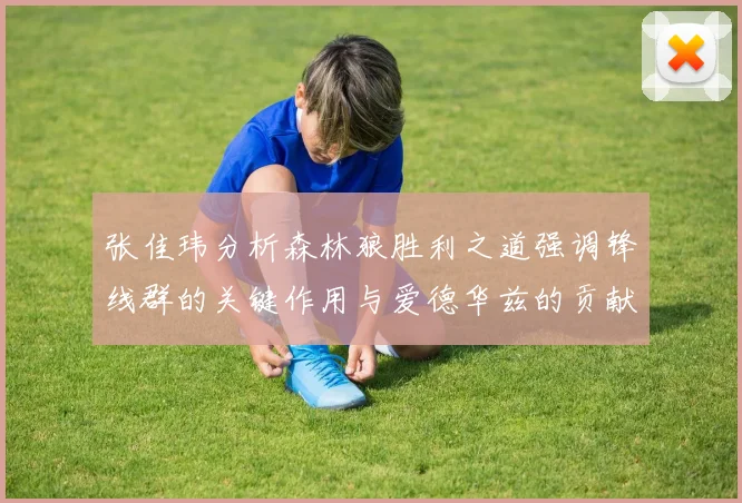 张佳玮分析森林狼胜利之道强调锋线群的关键作用与爱德华兹的贡献