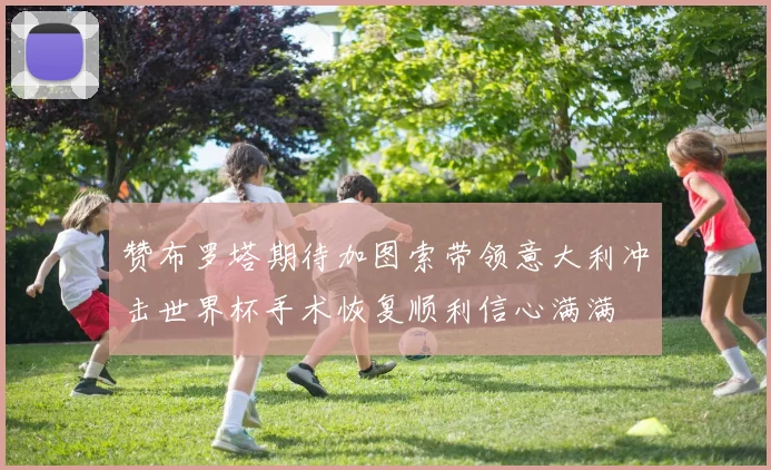 赞布罗塔期待加图索带领意大利冲击世界杯手术恢复顺利信心满满